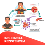 Insulinska rezistencija